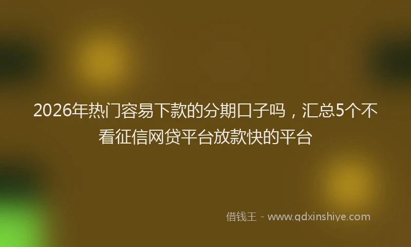 2026年热门容易下款的分期口子吗，汇总5个不看征信网贷平台放款快的平台