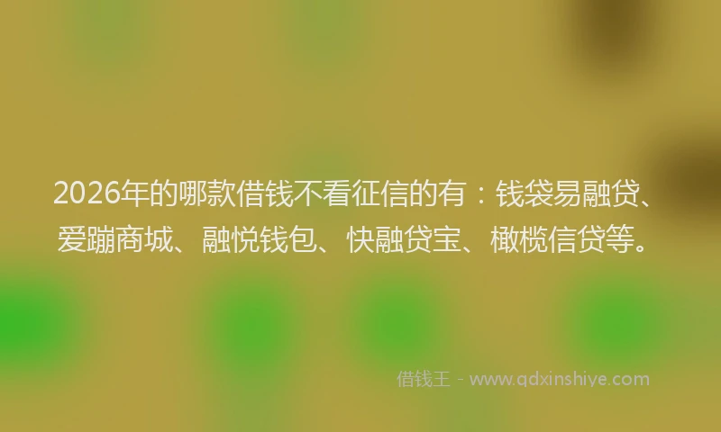 2026年的哪款借钱不看征信的有：钱袋易融贷、爱蹦商城、融悦钱包、快融贷宝、橄榄信贷等。