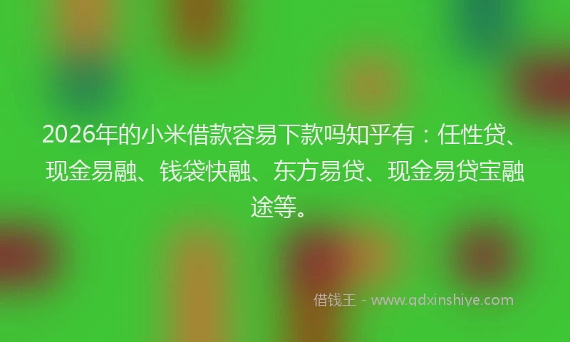 2026年的小米借款容易下款吗知乎有：任性贷、现金易融、钱袋快融、东方易贷、现金易贷宝融途等。