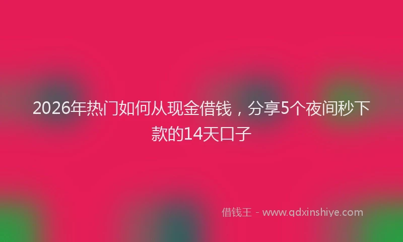 2026年热门如何从现金借钱，分享5个夜间秒下款的14天口子
