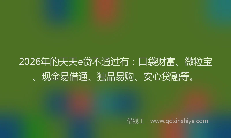 2026年的天天e贷不通过有：口袋财富、微粒宝、现金易借通、独品易购、安心贷融等。