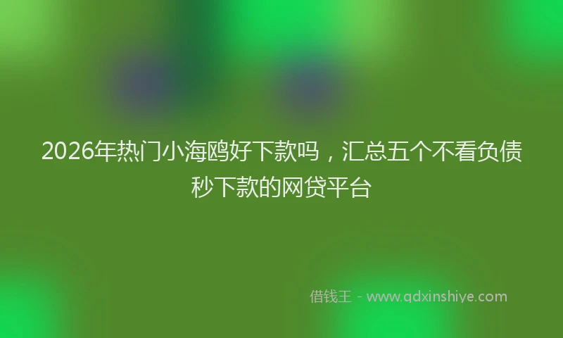 2026年热门小海鸥好下款吗，汇总五个不看负债秒下款的网贷平台
