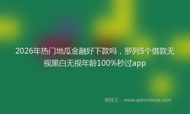 2026年热门地瓜金融好下款吗，罗列5个借款无视黑白无视年龄100%秒过app