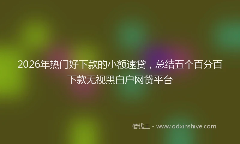 2026年热门好下款的小额速贷，总结五个百分百下款无视黑白户网贷平台