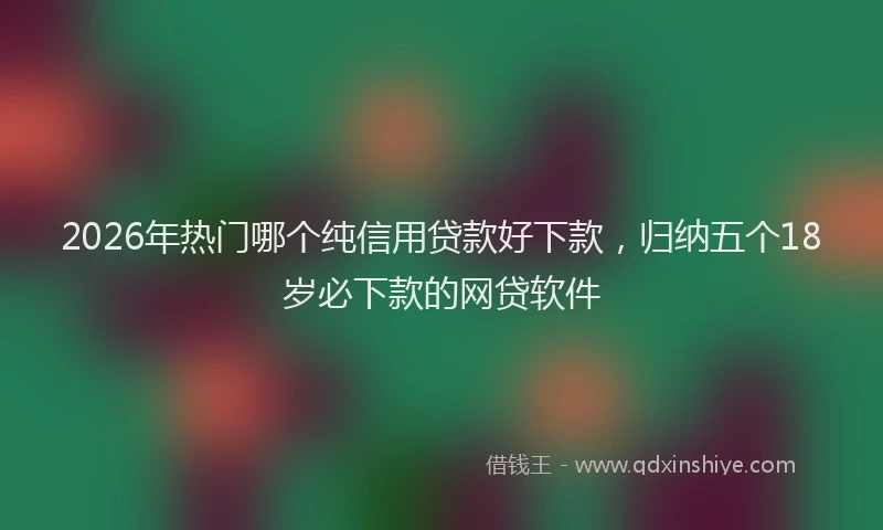 2026年热门哪个纯信用贷款好下款，归纳五个18岁必下款的网贷软件
