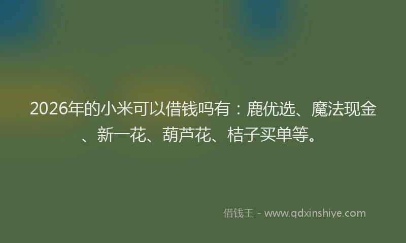 2026年的小米可以借钱吗有：鹿优选、魔法现金、新一花、葫芦花、桔子买单等。