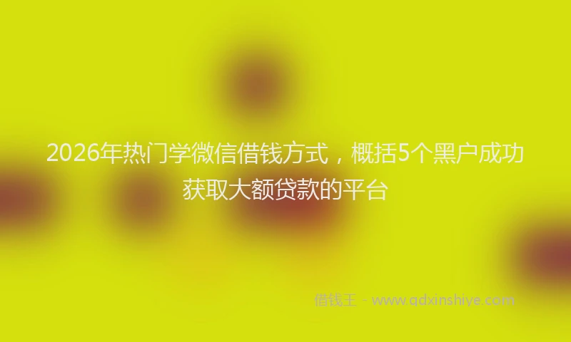 2026年热门学微信借钱方式，概括5个黑户成功获取大额贷款的平台