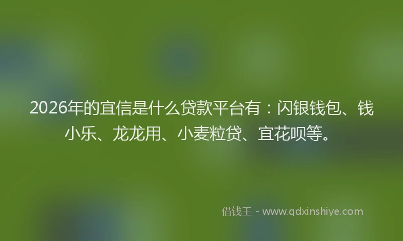 2026年的宜信是什么贷款平台有：闪银钱包、钱小乐、龙龙用、小麦粒贷、宜花呗等。