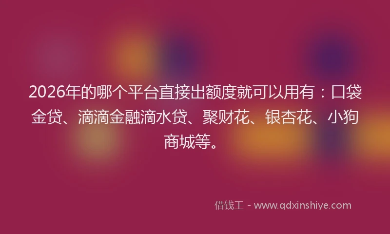 2026年的哪个平台直接出额度就可以用有：口袋金贷、滴滴金融滴水贷、聚财花、银杏花、小狗商城等。