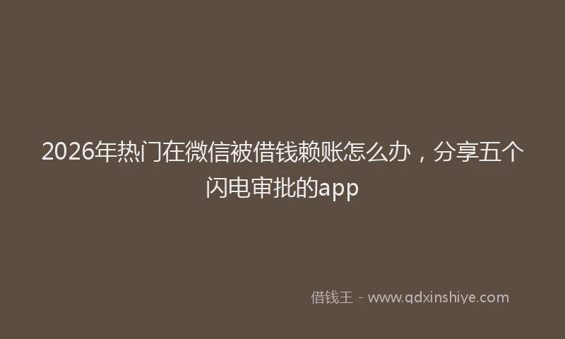 2026年热门在微信被借钱赖账怎么办，分享五个闪电审批的app