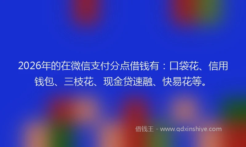 2026年的在微信支付分点借钱有：口袋花、信用钱包、三枝花、现金贷速融、快易花等。