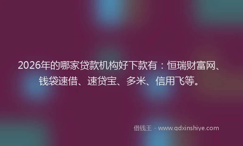 2026年的哪家贷款机构好下款有：恒瑞财富网、钱袋速借、速贷宝、多米、信用飞等。
