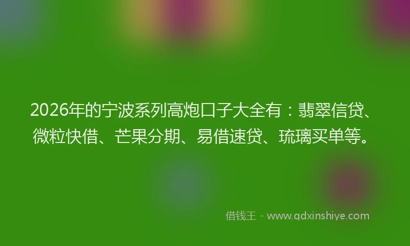 2026年的宁波系列高炮口子大全有：翡翠信贷、微粒快借、芒果分期、易借速贷、琉璃买单等。