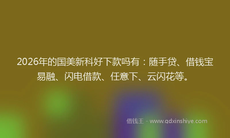 2026年的国美新科好下款吗有：随手贷、借钱宝易融、闪电借款、任意下、云闪花等。