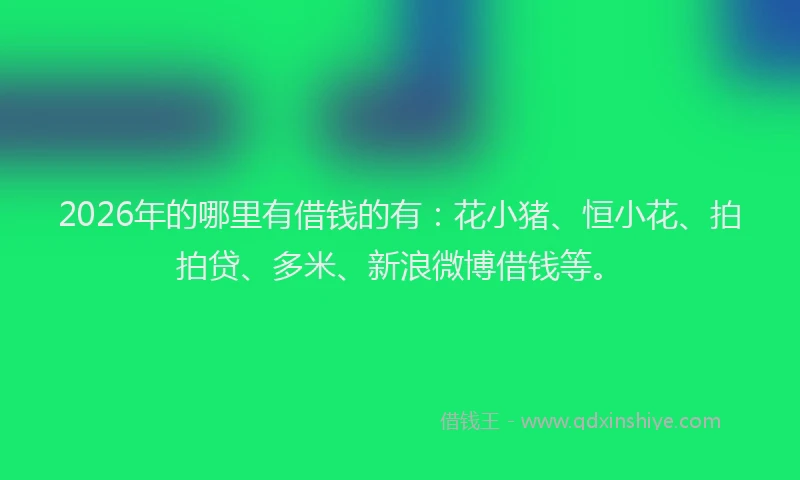 2026年的哪里有借钱的有：花小猪、恒小花、拍拍贷、多米、新浪微博借钱等。