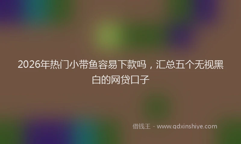 2026年热门小带鱼容易下款吗，汇总五个无视黑白的网贷口子