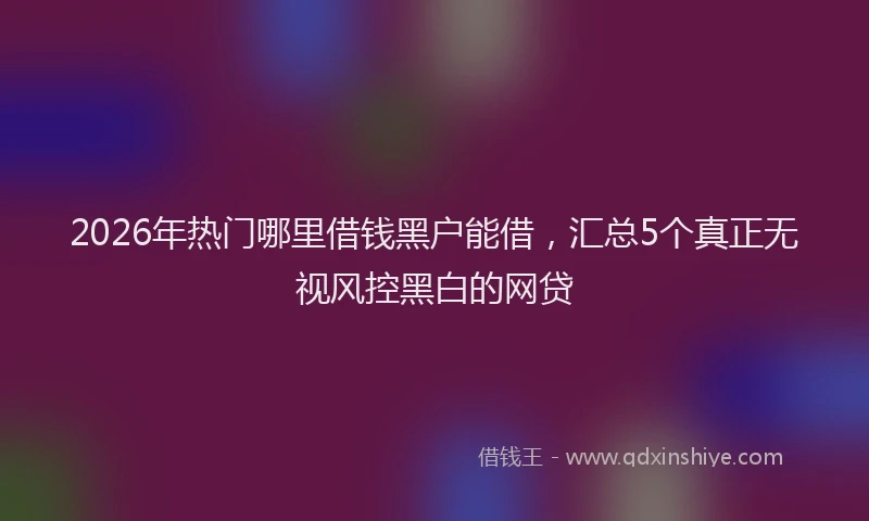 2026年热门哪里借钱黑户能借，汇总5个真正无视风控黑白的网贷
