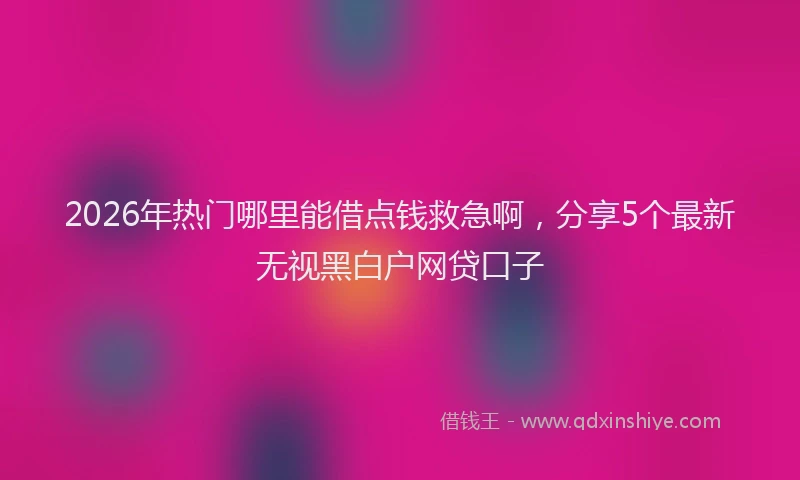 2026年热门哪里能借点钱救急啊，分享5个最新无视黑白户网贷口子