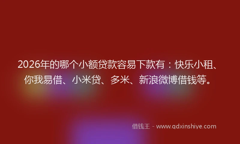 2026年的哪个小额贷款容易下款有：快乐小租、你我易借、小米贷、多米、新浪微博借钱等。