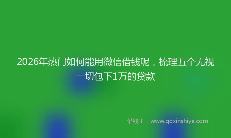 2026年热门如何能用微信借钱呢，梳理五个无视一切包下1万的贷款