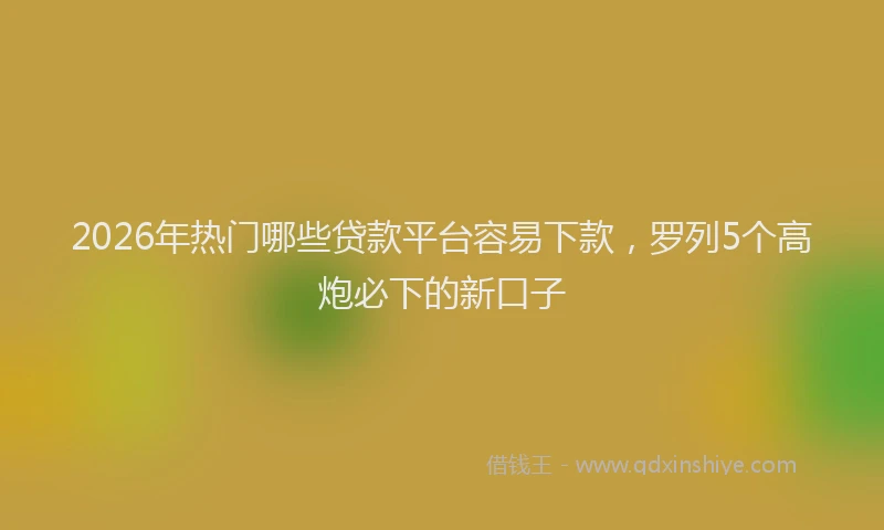 2026年热门哪些贷款平台容易下款，罗列5个高炮必下的新口子