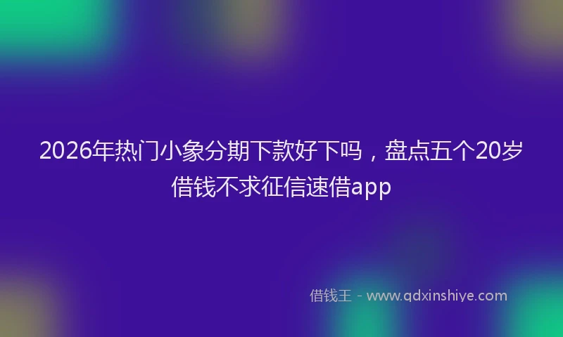 2026年热门小象分期下款好下吗，盘点五个20岁借钱不求征信速借app
