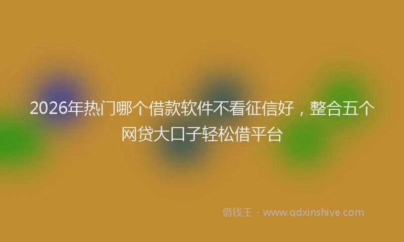 2026年热门哪个借款软件不看征信好，整合五个网贷大口子轻松借平台