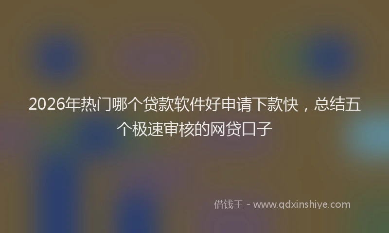 2026年热门哪个贷款软件好申请下款快，总结五个极速审核的网贷口子