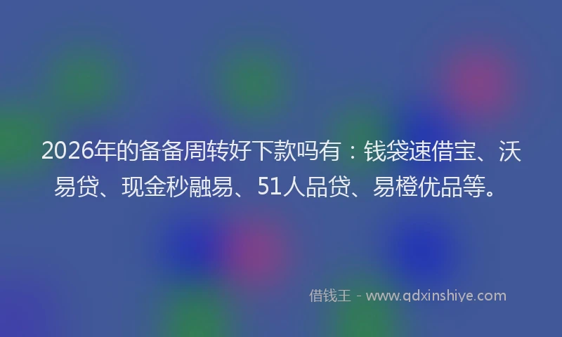 2026年的备备周转好下款吗有：钱袋速借宝、沃易贷、现金秒融易、51人品贷、易橙优品等。