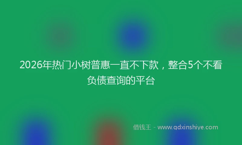 2026年热门小树普惠一直不下款，整合5个不看负债查询的平台