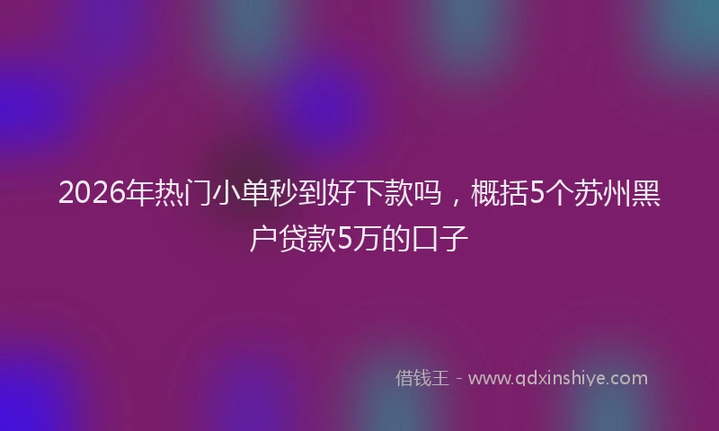 2026年热门小单秒到好下款吗，概括5个苏州黑户贷款5万的口子