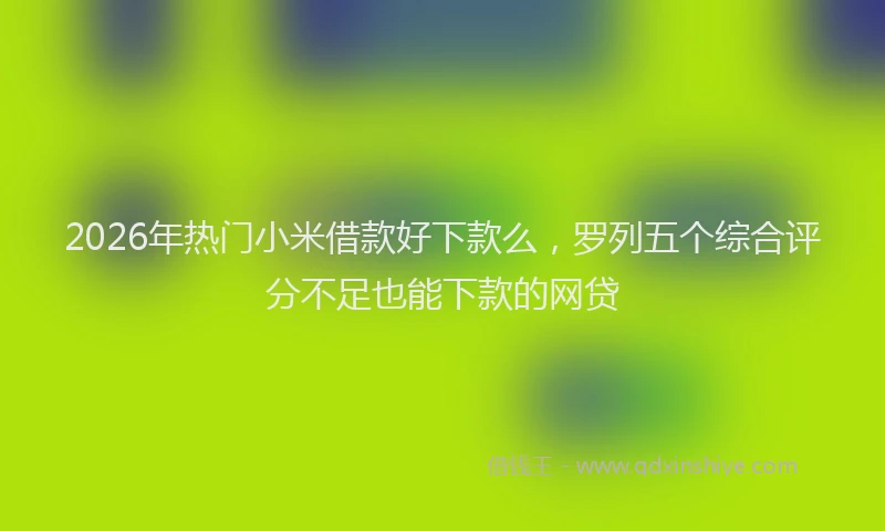 2026年热门小米借款好下款么，罗列五个综合评分不足也能下款的网贷