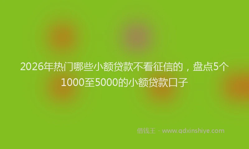 2026年热门哪些小额贷款不看征信的，盘点5个1000至5000的小额贷款口子