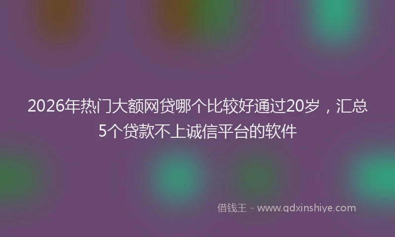 2026年热门大额网贷哪个比较好通过20岁，汇总5个贷款不上诚信平台的软件
