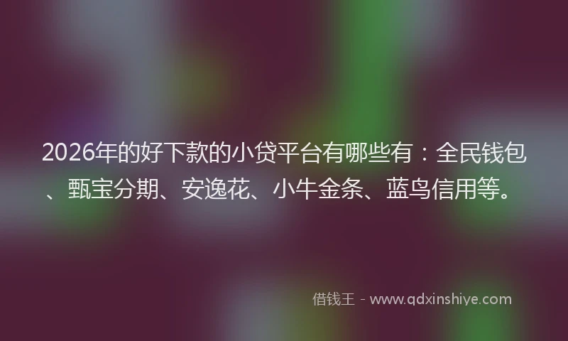 2026年的好下款的小贷平台有哪些有：全民钱包、甄宝分期、安逸花、小牛金条、蓝鸟信用等。
