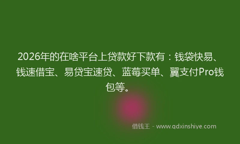 2026年的在啥平台上贷款好下款有：钱袋快易、钱速借宝、易贷宝速贷、蓝莓买单、翼支付Pro钱包等。