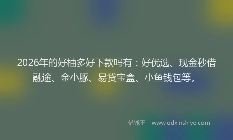 2026年的好柚多好下款吗有：好优选、现金秒借融途、金小豚、易贷宝盒、小鱼钱包等。