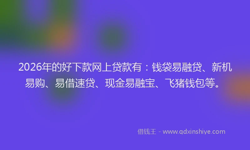 2026年的好下款网上贷款有：钱袋易融贷、新机易购、易借速贷、现金易融宝、飞猪钱包等。