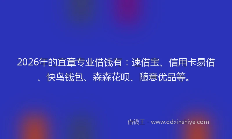 2026年的宜章专业借钱有：速借宝、信用卡易借、快鸟钱包、森森花呗、随意优品等。