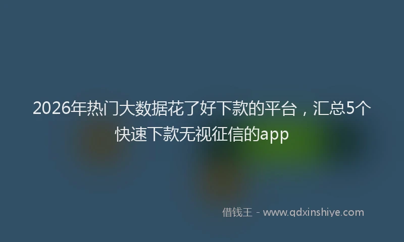 2026年热门大数据花了好下款的平台，汇总5个快速下款无视征信的app