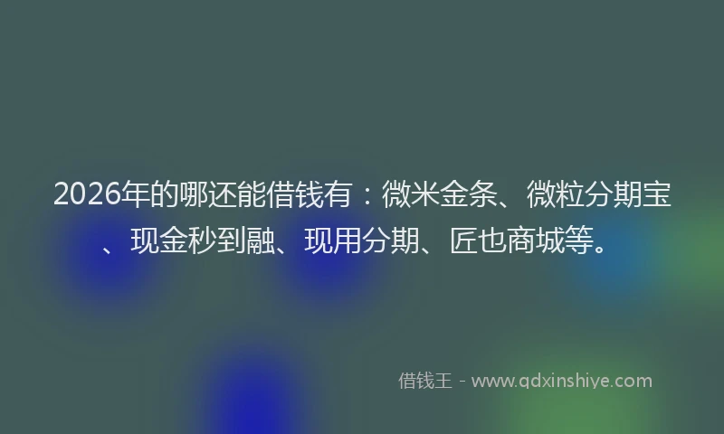 2026年的哪还能借钱有：微米金条、微粒分期宝、现金秒到融、现用分期、匠也商城等。