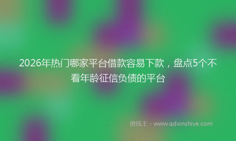 2026年热门哪家平台借款容易下款，盘点5个不看年龄征信负债的平台