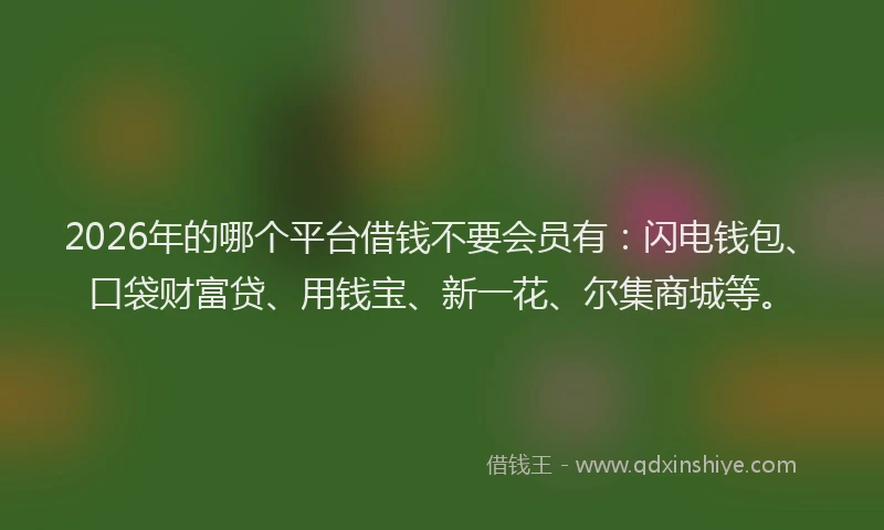 2026年的哪个平台借钱不要会员有：闪电钱包、口袋财富贷、用钱宝、新一花、尔集商城等。