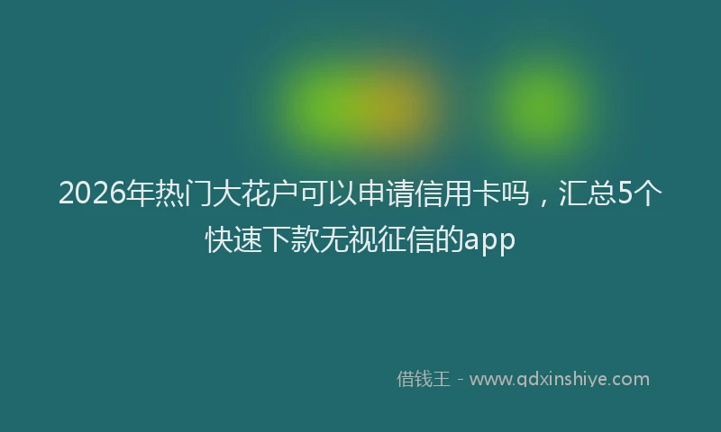 2026年热门大花户可以申请信用卡吗，汇总5个快速下款无视征信的app