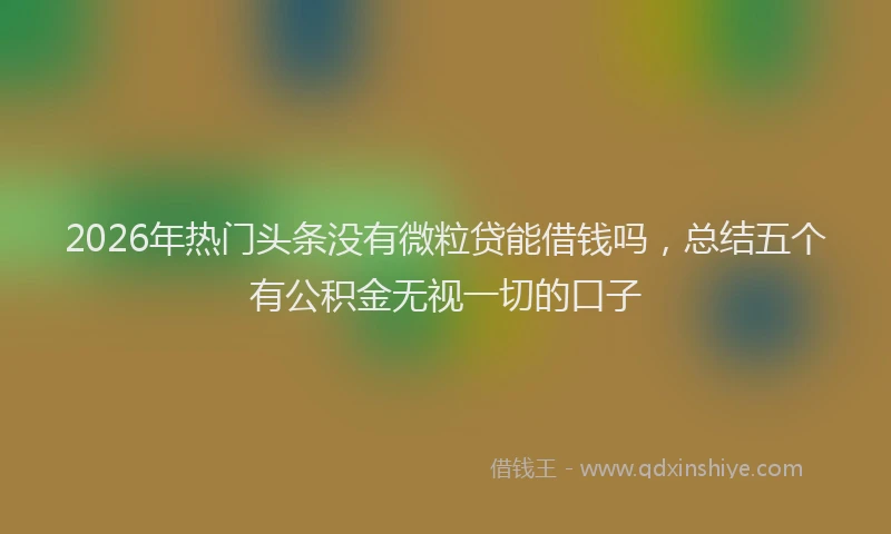 2026年热门头条没有微粒贷能借钱吗，总结五个有公积金无视一切的口子