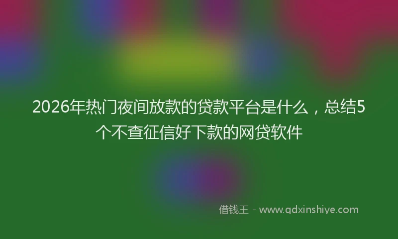 2026年热门夜间放款的贷款平台是什么，总结5个不查征信好下款的网贷软件