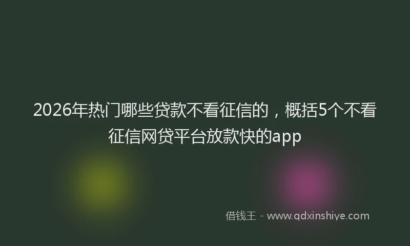 2026年热门哪些贷款不看征信的，概括5个不看征信网贷平台放款快的app