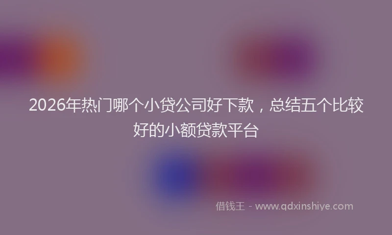2026年热门哪个小贷公司好下款，总结五个比较好的小额贷款平台