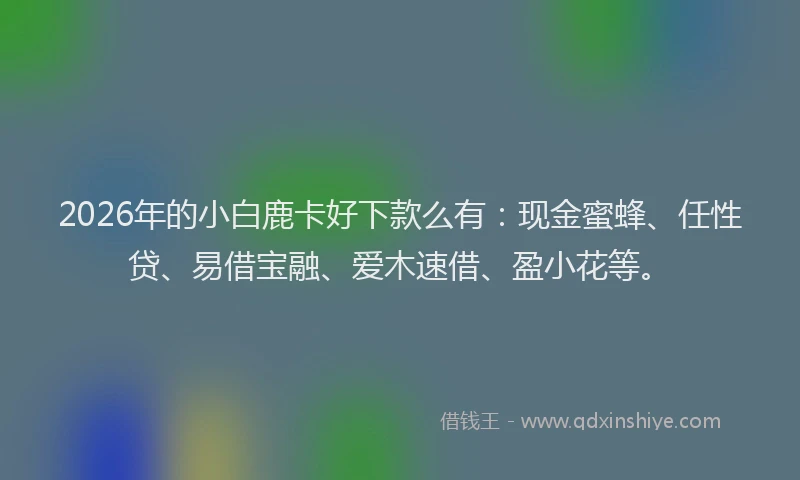 2026年的小白鹿卡好下款么有：现金蜜蜂、任性贷、易借宝融、爱木速借、盈小花等。