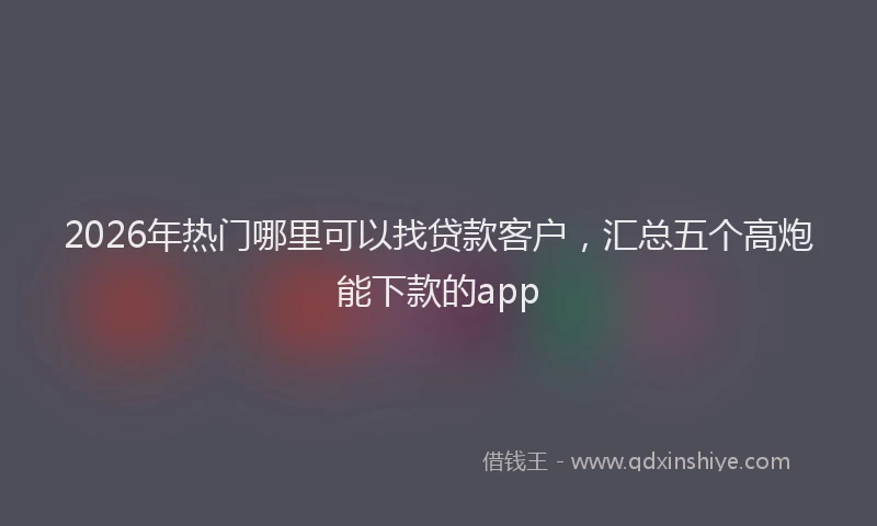 2026年热门哪里可以找贷款客户，汇总五个高炮能下款的app
